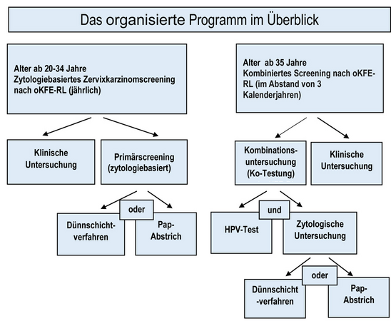 Riss in Monitoroberfläche beheben